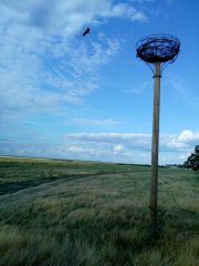 IMG_20180623_181100 - Copy.jpg